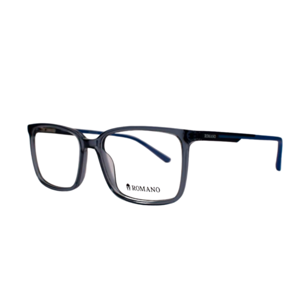 ÓCULOS ROMANO ACETATO