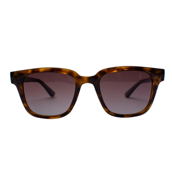 SOLAR RAY-BAN